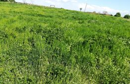 Investitie, ferma mare, vila, hale depozitare+9 Ha teren intravilan!