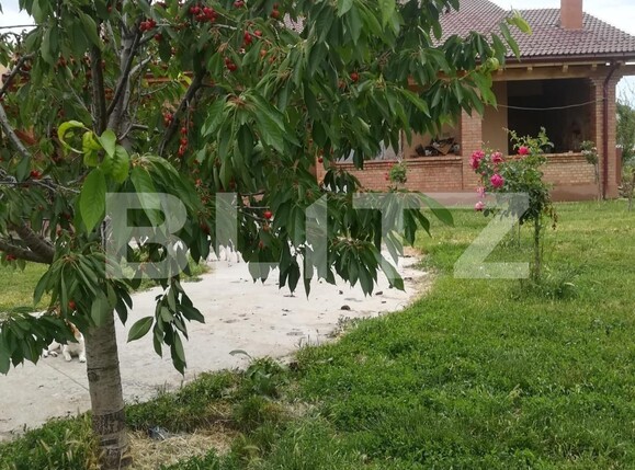 Teren de vânzare Exterior Vest - 107263TV | BLITZ Timișoara | Poza2