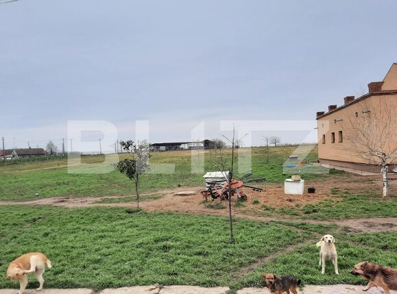 Teren de vânzare Exterior Vest - 107263TV | BLITZ Timișoara | Poza10