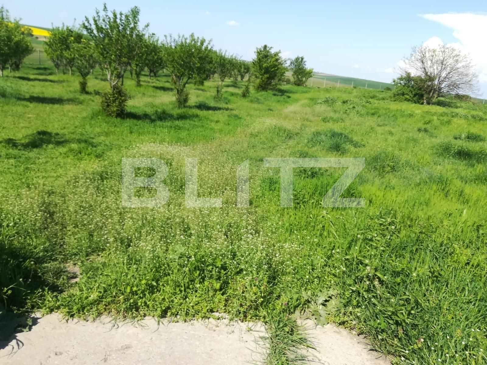 Teren de vânzare Exterior Vest - 107263TV | BLITZ Timișoara | Poza15