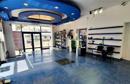 Spatiu comercial + service auto, 250 mp, in zona Fabricii de Bere