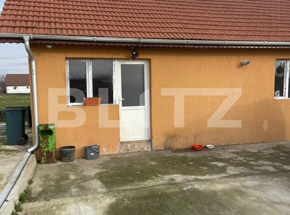 Casa de vânzare 7 camere Parța - 107330CV | BLITZ Timișoara | Poza15