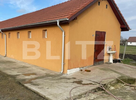 Casa de vânzare 7 camere Parța - 107330CV | BLITZ Timișoara | Poza14