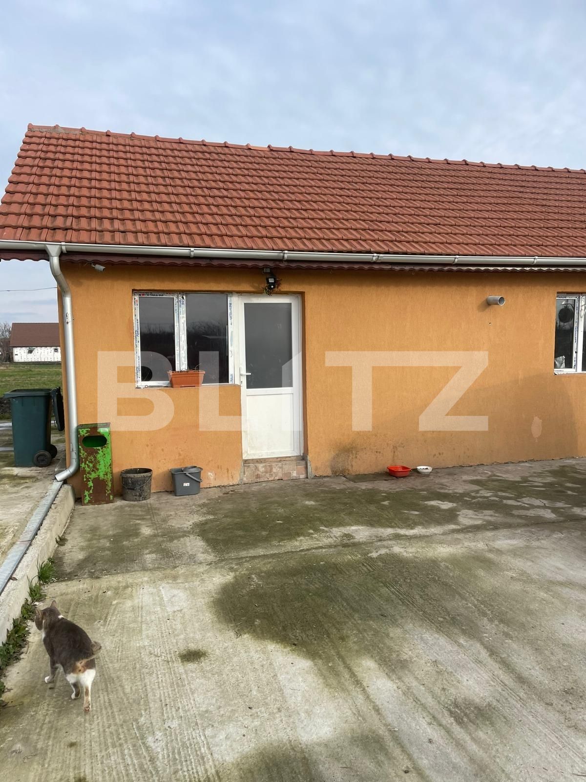 Casa de vânzare 7 camere Parța - 107330CV | BLITZ Timișoara | Poza15