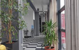 Cladire comerciala de 1700 mp, zona Sagului! 