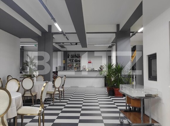 Spațiu comercial de închiriat Sagului - 107359SIC | BLITZ Timișoara | Poza6