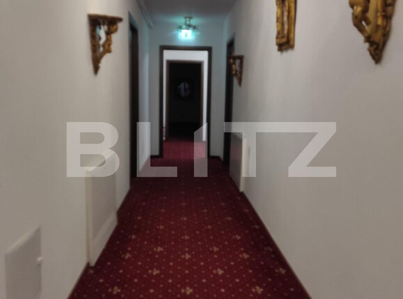 Spațiu comercial de închiriat Sagului - 107359SIC | BLITZ Timișoara | Poza11