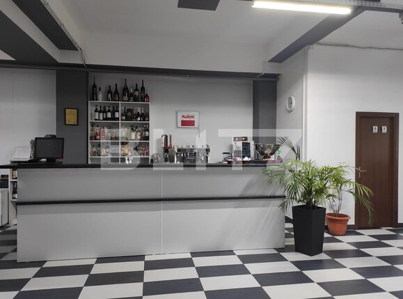 Spațiu comercial de închiriat Sagului - 107359SIC | BLITZ Timișoara | Poza5