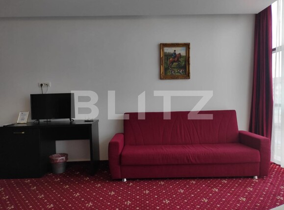 Spațiu comercial de închiriat Sagului - 107359SIC | BLITZ Timișoara | Poza14