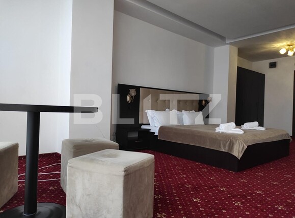 Spațiu comercial de închiriat Sagului - 107359SIC | BLITZ Timișoara | Poza13