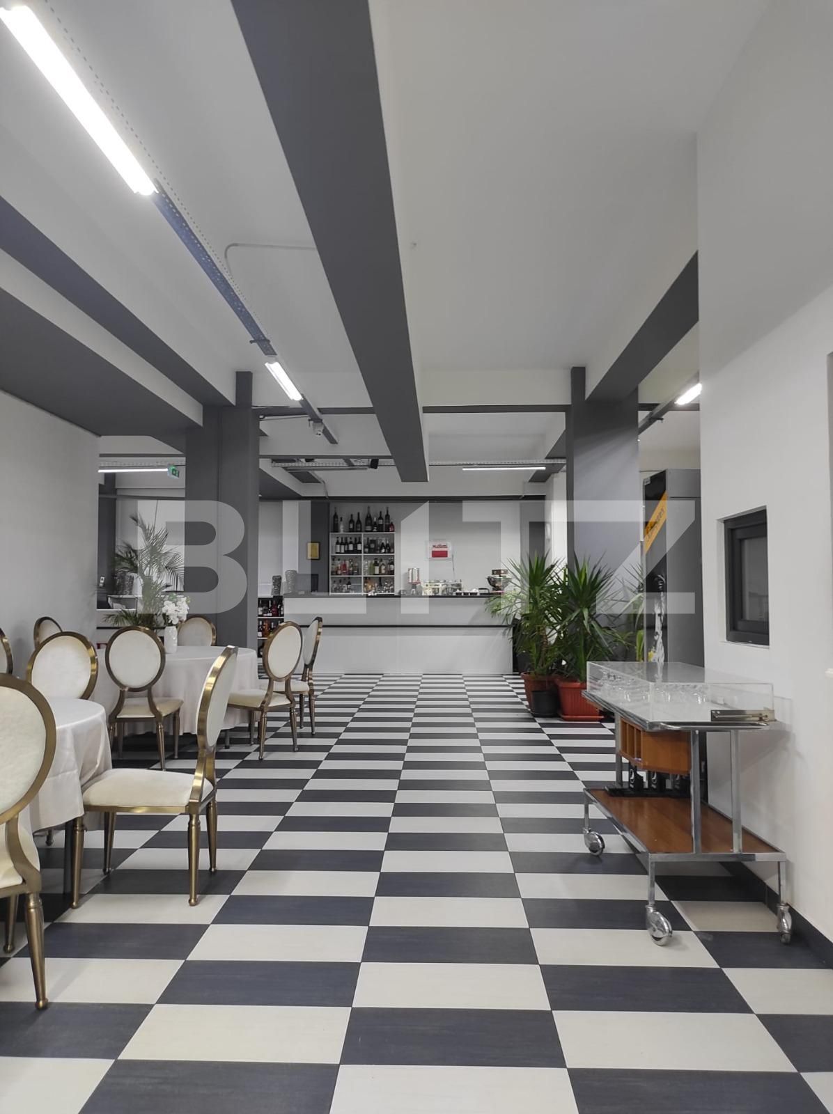 Spațiu comercial de închiriat Sagului - 107359SIC | BLITZ Timișoara | Poza6