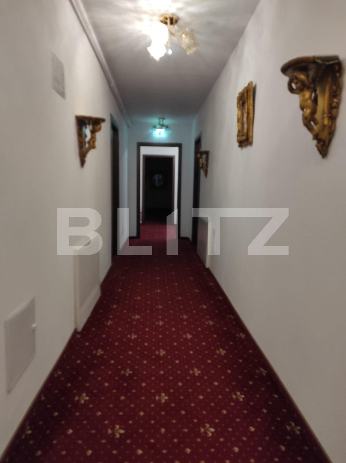 Spațiu comercial de închiriat Sagului - 107359SIC | BLITZ Timișoara | Poza11