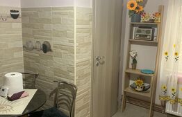 Apartament cu 3 camere, 2 bai, 2 balcoane in zona Dambovita