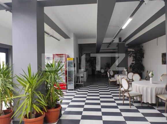 Spațiu comercial de închiriat Brancoveanu - 107424SIC | BLITZ Timișoara | Poza3