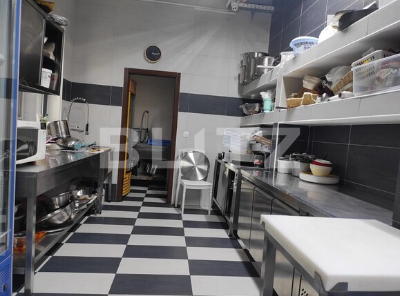 Spațiu comercial de închiriat Brancoveanu - 107424SIC | BLITZ Timișoara | Poza6