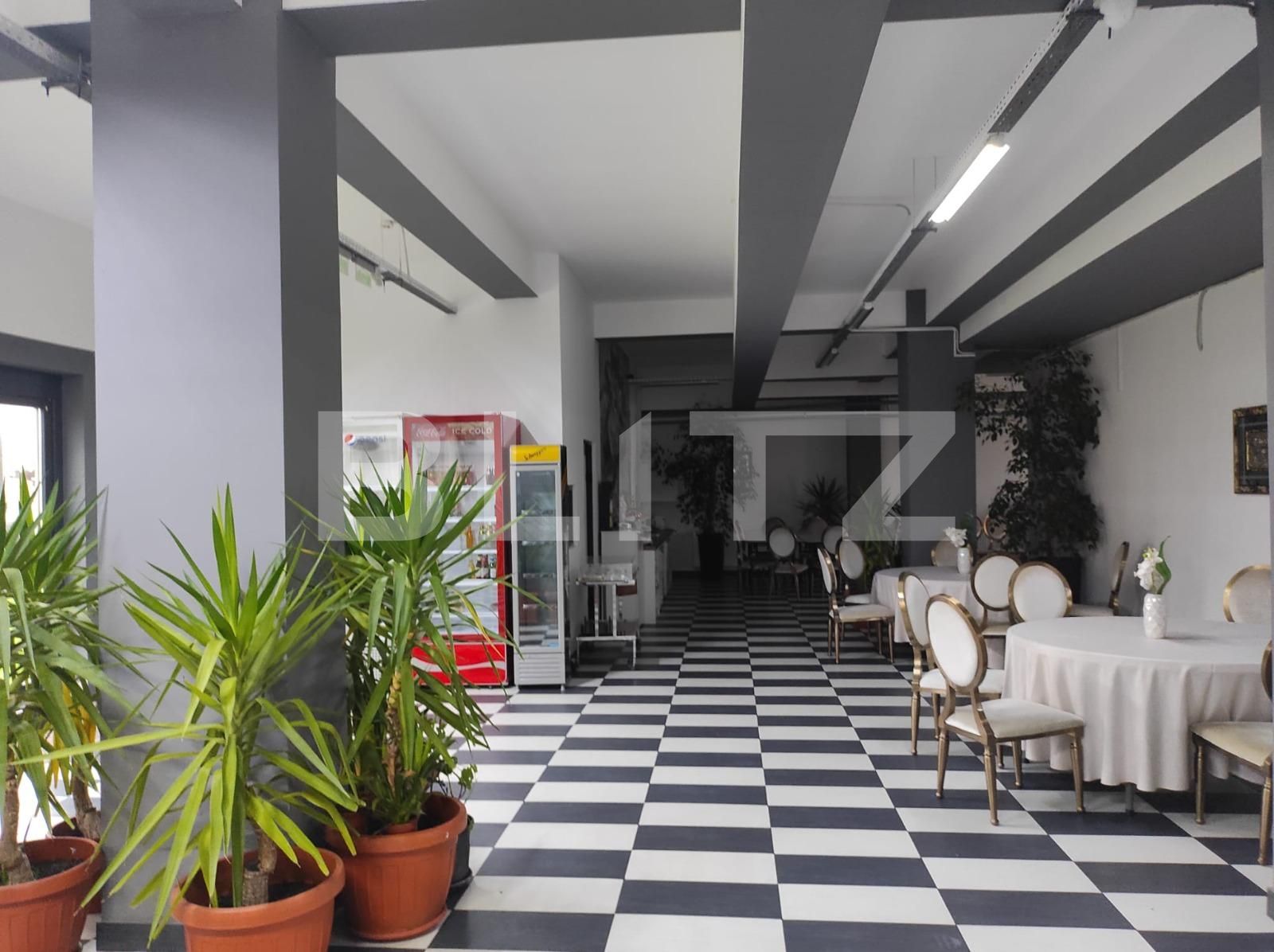 Spațiu comercial de închiriat Brancoveanu - 107424SIC | BLITZ Timișoara | Poza3