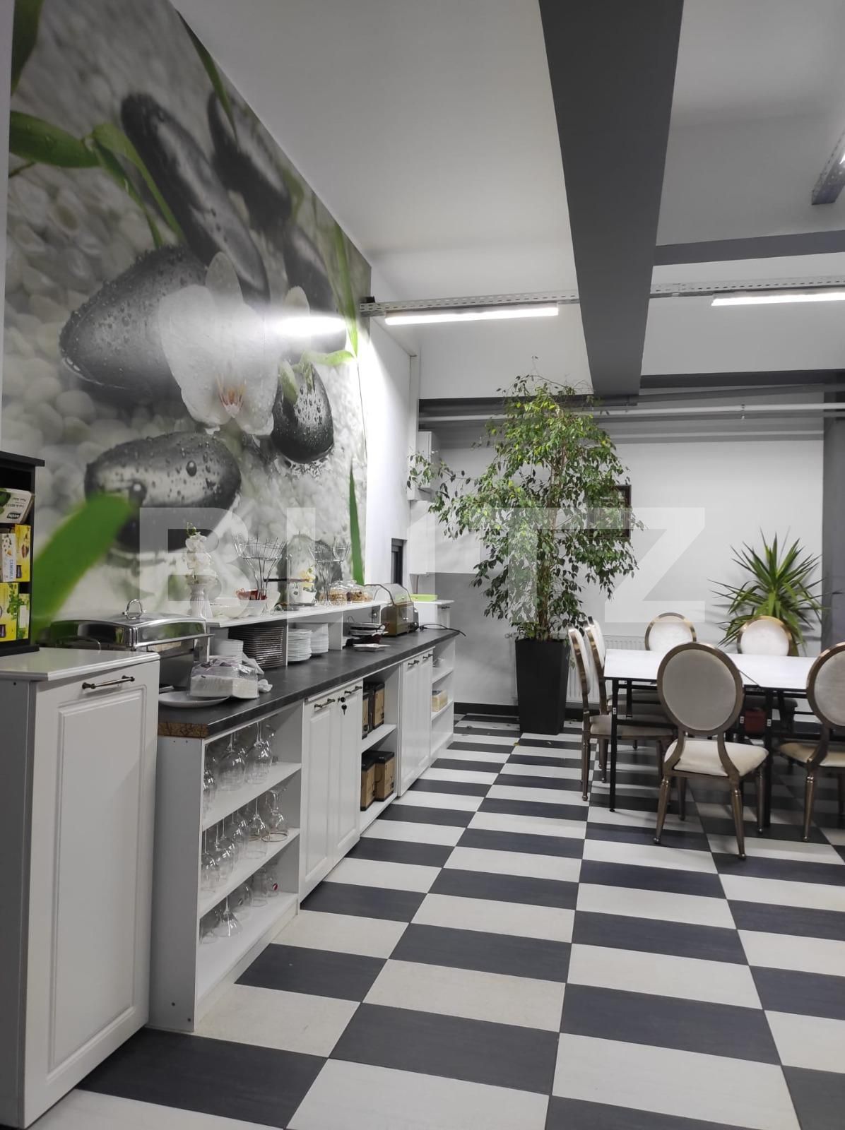 Spațiu comercial de închiriat Brancoveanu - 107424SIC | BLITZ Timișoara | Poza5