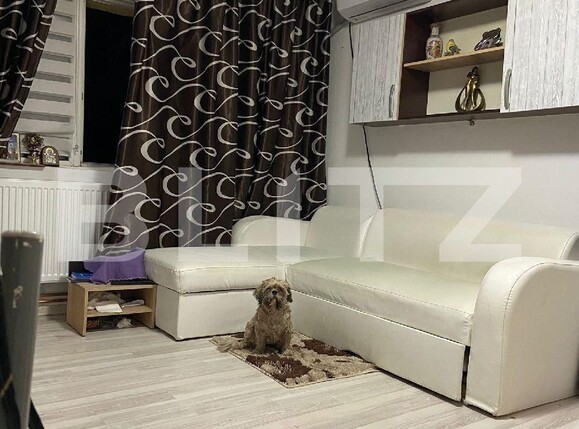 Apartament de vânzare 2 camere Dambovita - 107525AV | BLITZ Timișoara | Poza4