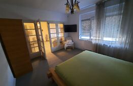 Spatiu comercial cu VAD foarte bun, 240 mp utili, 600 mp teren, in zona Lipovei