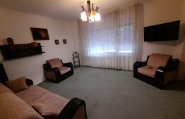 Spatiu comercial cu VAD foarte bun, 240 mp utili, 600 mp teren, in zona Lipovei