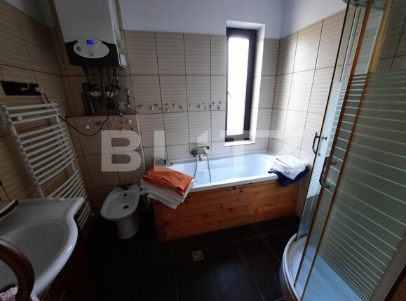 Spațiu comercial de închiriat Lipovei - 107783SIC | BLITZ Timișoara | Poza6