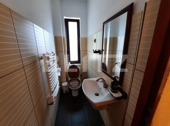 Spațiu comercial de închiriat Lipovei - 107783SIC | BLITZ Timișoara | Poza8