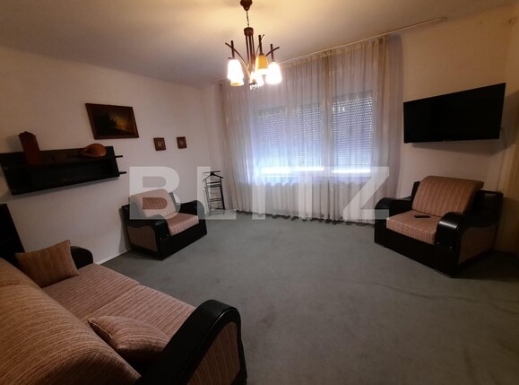 Spațiu comercial de închiriat Lipovei - 107783SIC | BLITZ Timișoara | Poza3