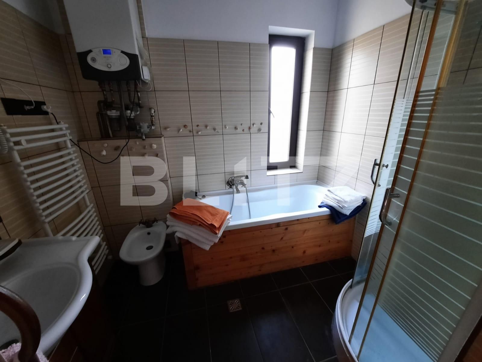 Spațiu comercial de închiriat Lipovei - 107783SIC | BLITZ Timișoara | Poza6