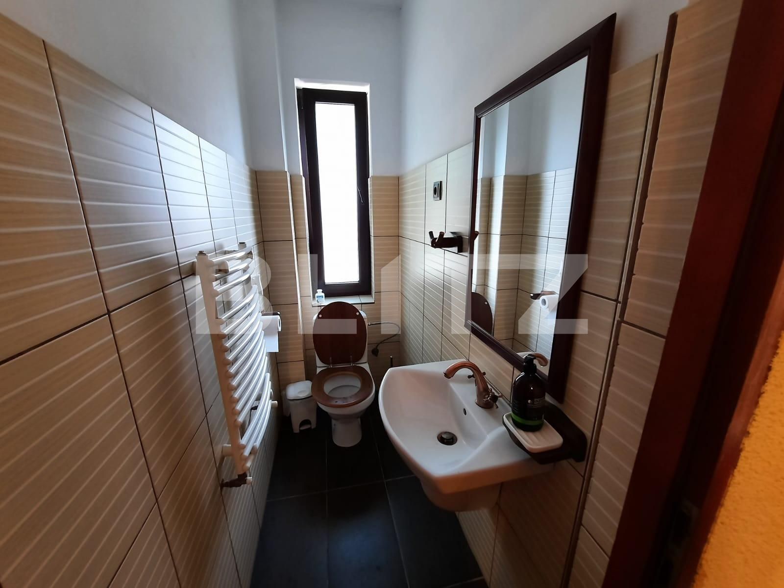 Spațiu comercial de închiriat Lipovei - 107783SIC | BLITZ Timișoara | Poza8