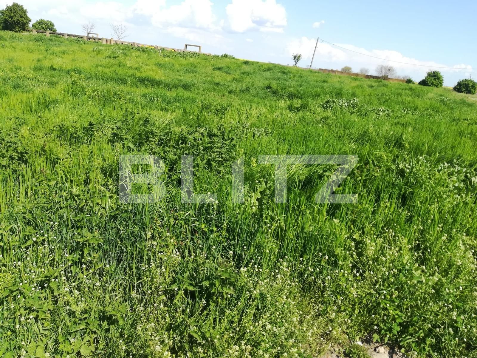 Teren de vânzare Sânandrei - 107801TV | BLITZ Timișoara | Poza1