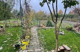 Ocazie, casă spațioasă, deosebită în Voiteg