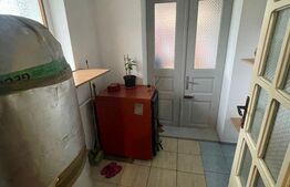 Ocazie, casă spațioasă, deosebită în Voiteg