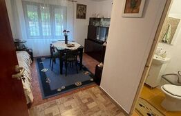 Ocazie, casă spațioasă, deosebită în Voiteg