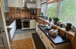 Ocazie, casă spațioasă, deosebită în Voiteg