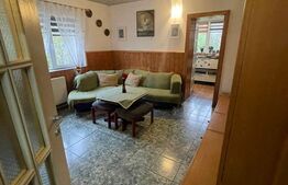 Ocazie, casă spațioasă, deosebită în Voiteg