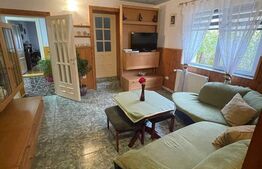 Ocazie, casă spațioasă, deosebită în Voiteg