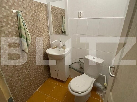 Casa de vânzare 4 camere Voiteg - 107914CV | BLITZ Timișoara | Poza14