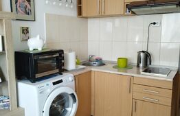 Apartament 1 camera, complet renovat, zona Fratelia