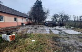 Ocazie, teren intravilan 2236 mp+hala de 400 mp, Mosnita Noua!