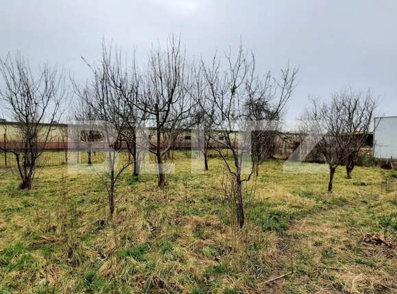 Teren de vânzare Mosnita Noua - 107997TV | BLITZ Timișoara | Poza2