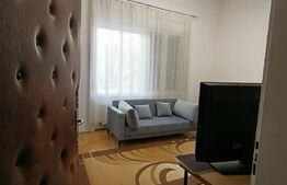 Garsoniera 30 mp, etaj intermediar, zona Centrala