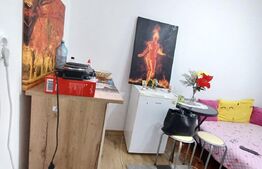 Garsoniera, 12 mp, zona Take Ionescu