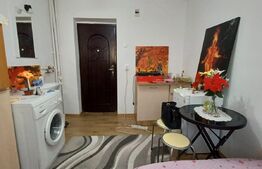 Garsoniera, 12 mp, zona Take Ionescu