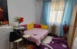 Garsoniera, 12 mp, zona Take Ionescu