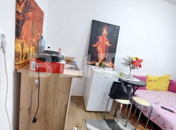 Garsonieră de închiriat Take Ionescu - 108392AI | BLITZ Timișoara | Poza3