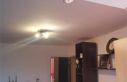 Apartament de 2 camere, 45 mp, zona Olimpia-Stadion