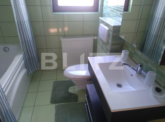 Apartament de închiriat 2 camere Aradului - 108531AI | BLITZ Timișoara | Poza3