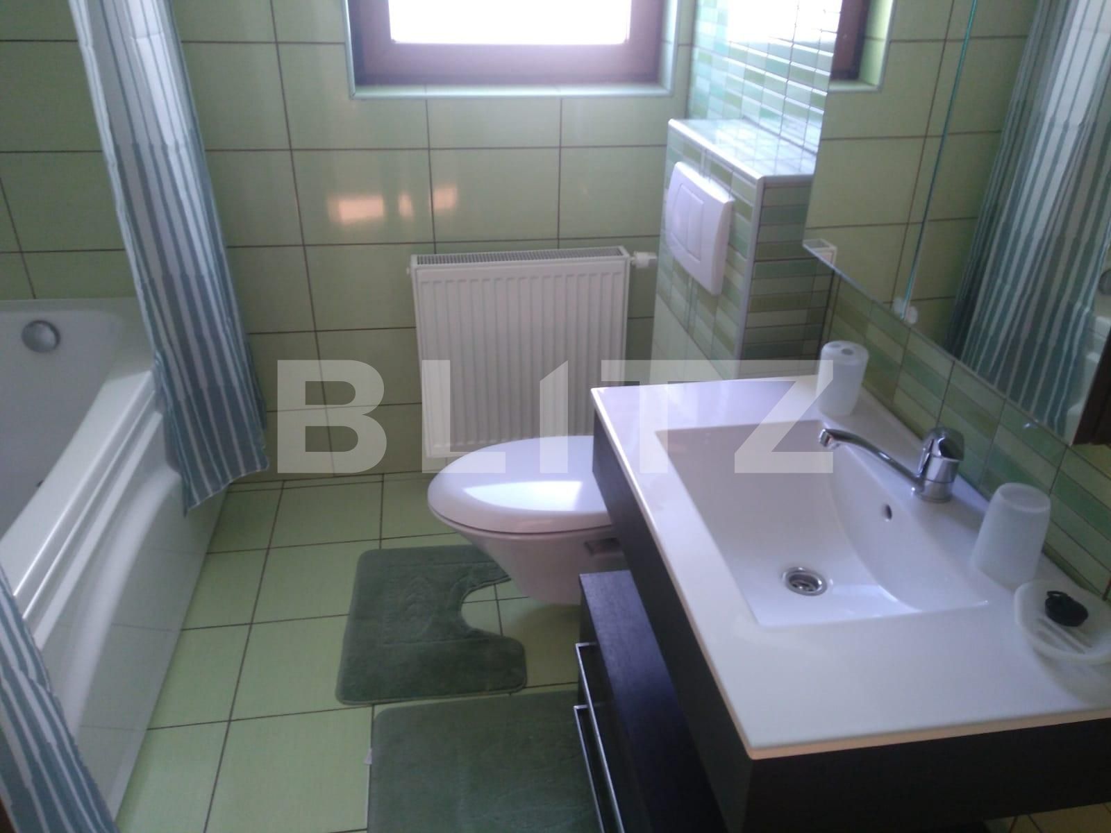 Apartament de închiriat 2 camere Aradului - 108531AI | BLITZ Timișoara | Poza3