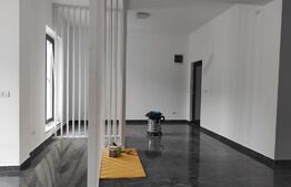 Spatiu comercial de 100 mp, la strada, zona Fabric