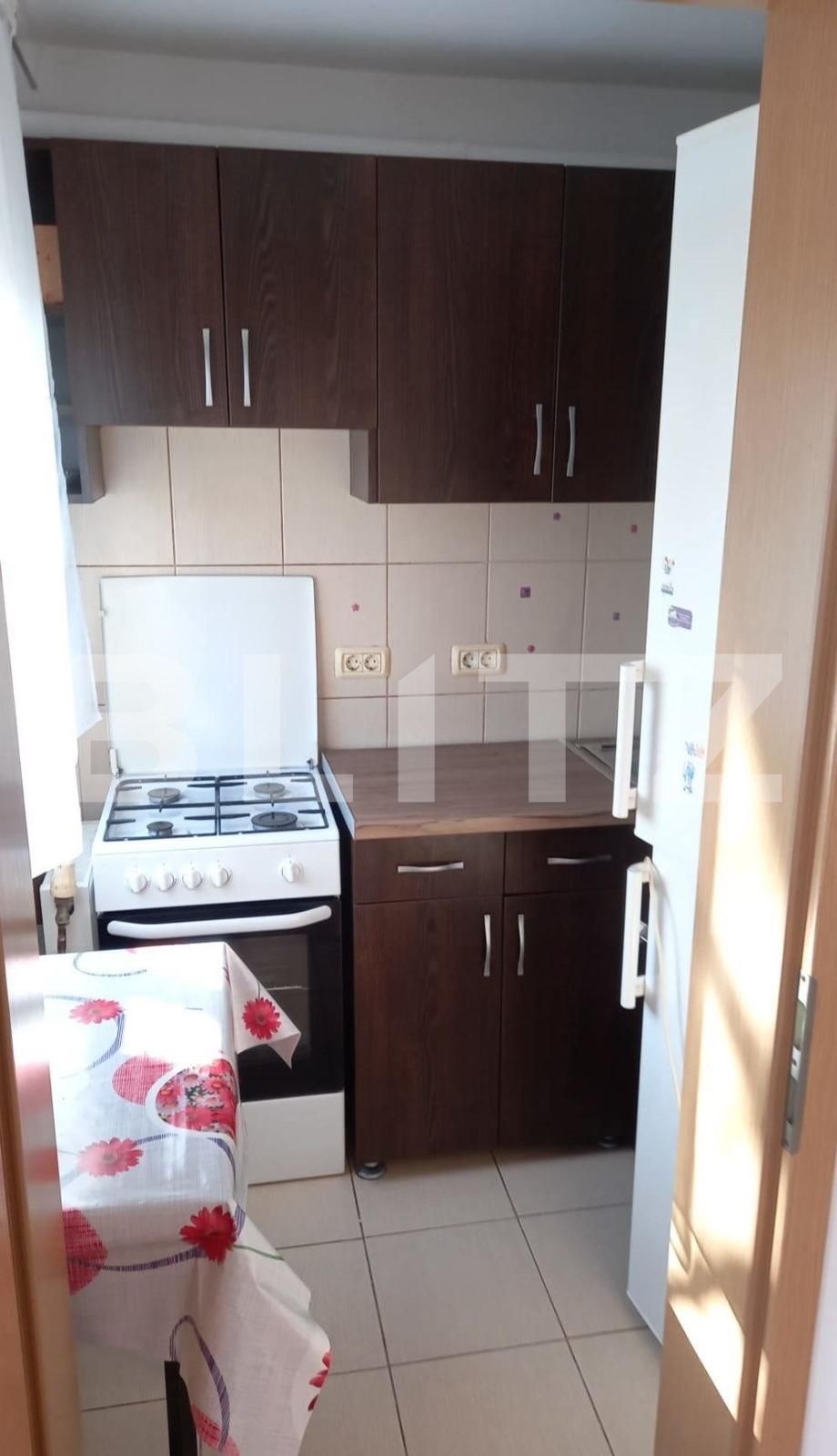 Garsonieră de închiriat Exterior Vest - 108875AI | BLITZ Timișoara | Poza2